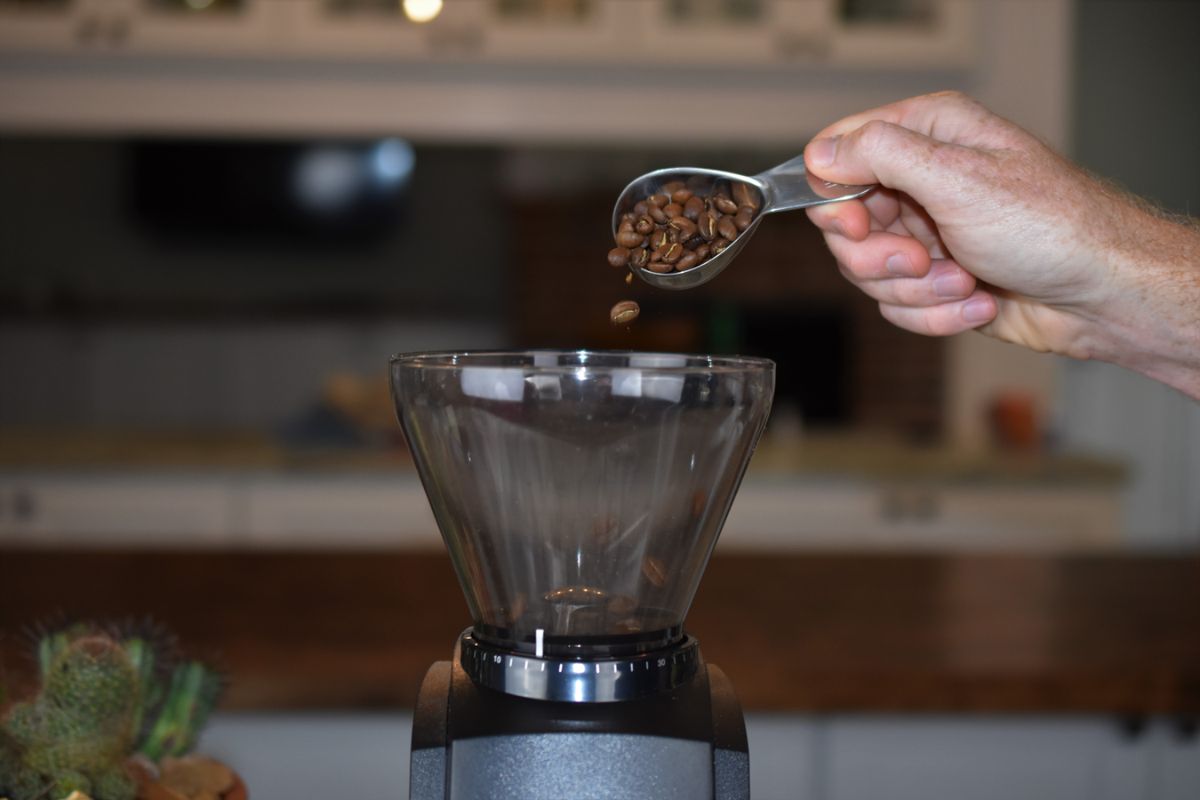 Hand pouring coffee beans into a clear coffee grinder with a blurred kitchen background